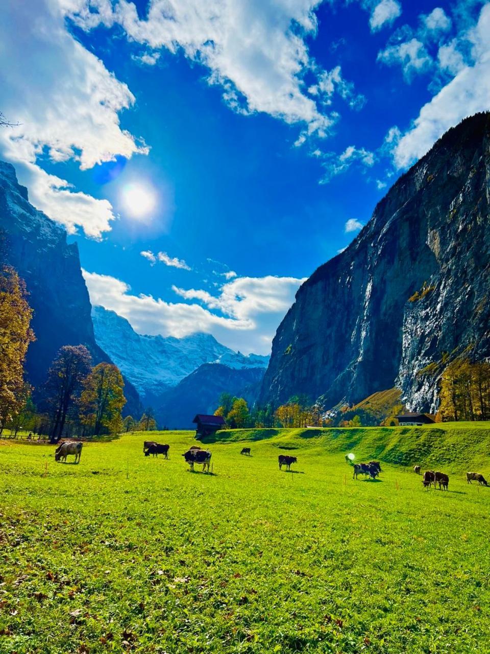 Chalet Rosa B&B Lauterbrunnen Bagian luar foto